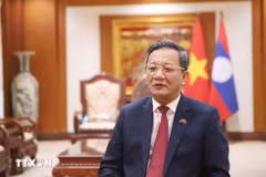 Vietnamese Ambassador to Laos Nguyen Minh Tam (Photo: VNA)
