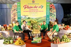 Delegates share information during the livestream programme. (Photo: VNA)