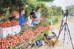 Livestreams, videos and social media are becoming “online stores” that connect farm produce directly with consumers. (Photo: thoibaotaichinh.vn)