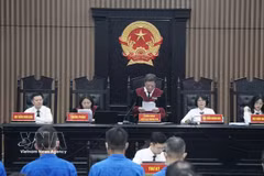 Judge Luu Ngoc Canh announces the decision to bring the case to trial. (Photo: VNA)