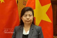 Liu Ying, a research fellow at the Chongyang Institute for Financial Studies, Renmin University of China. (Photo: VNA)