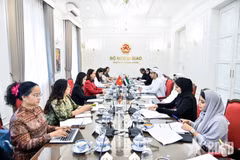 At the third political consultation between the Ministries of Foreign Affairs of Vietnam and the UAE. (Photo: qdnd.vn)