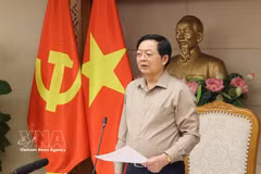 Deputy Prime Minister Ho Quoc Dung speaks at the 36th meeting of the National Steering Committee for IUU Fishing Prevention and Control and Sustainable Fisheries Development in Hanoi on October 13. (Photo: VNA)