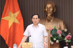 Deputy Prime Minister and Minister of Foreign Affairs Bui Thanh Son speaks at the meeting (Photo: VNA)