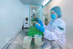 Nestlé Bong Sen Factory in Hung Yen applies digital technology to green production. (Photo: VNA) 