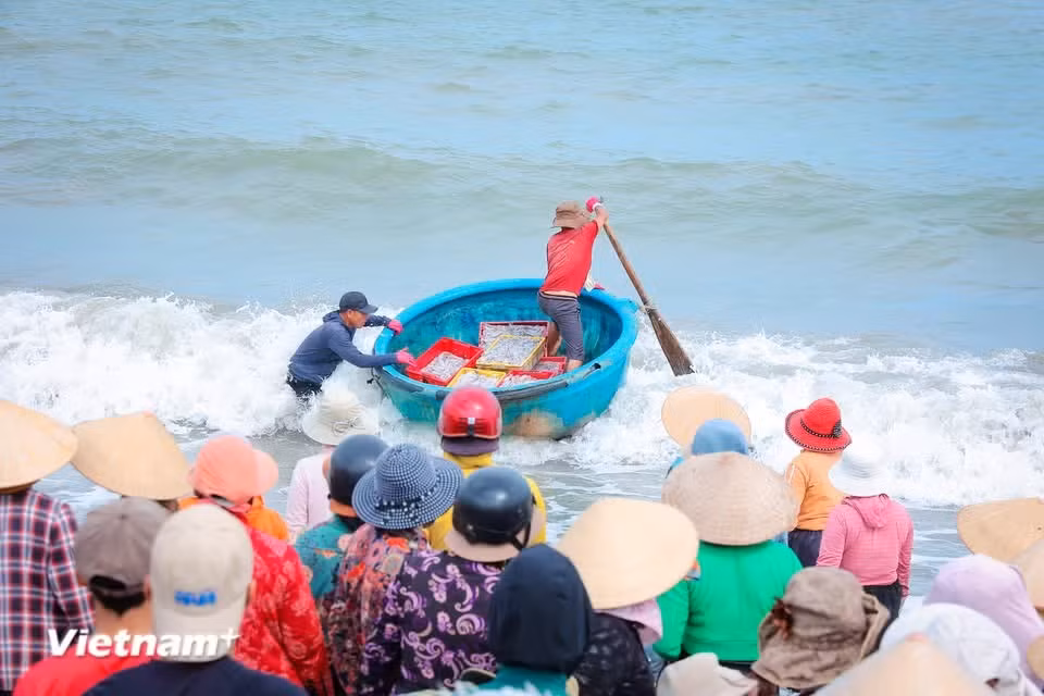 Boats arrive one after another, cutting through the waves and bringing in the salty scent and “gifts of the sea.” (Photo: VietnamPlus)
