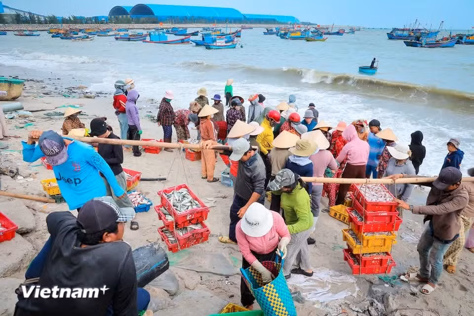 Despite the growing presence of modern industrial life, local fishermen continue to make their living at sea, preserving the traditions and spirit of the longstanding fishing village. (Photo: VietnamPlus)