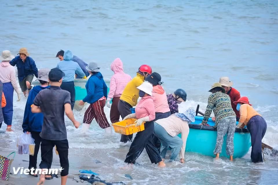 Basket boats and wooden boats reach the shore to the delight of local fishermen. (Photo: VietnamPlus)