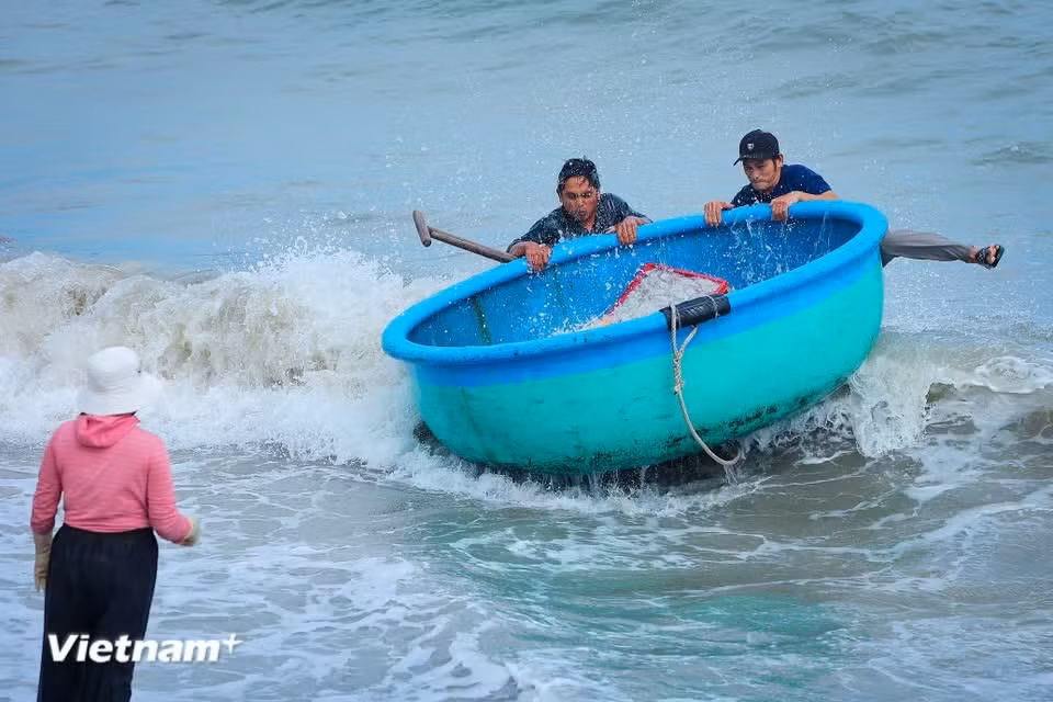 Rudimentary wooden boats, rowed by hand, continue to battle the waves to bring their catch ashore. At times, rough seas overturn the boats, sending trays of fish and squid back into the ocean. (Photo: VietnamPlus)