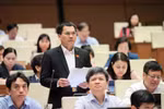 Deputies discuss draft laws presented to the National Assembly during its ongoing 9th session. (Photo: VNA)