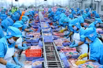 Aquatic exports hit 10 billion USD