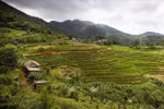 The stunning terraced fields in Mung hamlet of Cao Phong commune, Phu Tho province. (Photo: VNA)