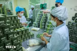 Production of herbal-based products at Lam Dong Pharmaceutical JSC. (Photo: VNA)