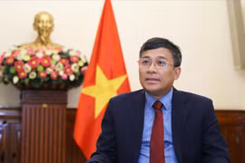 Standing Deputy Minister of Foreign Affairs Nguyen Minh Vu (Photo published by VNA)