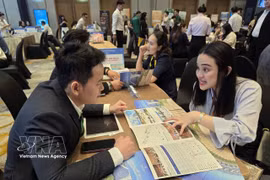 Businesses engage at the Business & B2B Networking Space. (Photo: VNA)
