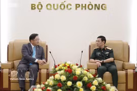 Vietnamese Deputy Prime Minister and Minister of National Defence General Phan Van Giang (right) receives Malaysian Ambassador Dato' Tan Yang Thai. (Photo: qdnd.vn) 