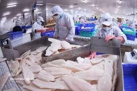 Illustrative photo of pangasius fillets, a Vietnamese export to Canada. (Photo: VNA) 