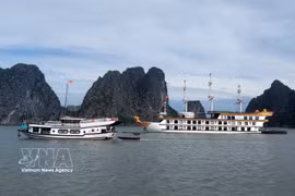 Ha Long Bay suspends visitors' access to Soi Sim beach. (Photo: VNA)