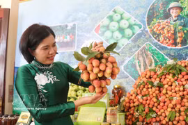 Phuc Hoa commune in Bac Ninh promotes and showcases its lychees. (Photo: VNA)