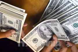 The daily reference exchange rate is set at 25,591 VND/USD on September 10. (Photo: VNA)