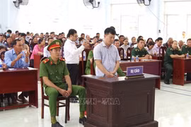 The mock trial in Tan Dong commune, Dong Thap province, on November 5 (Photo: VNA)