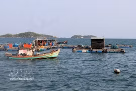 Vessels in the area of An Thoi fishing port in An Giang province (Photo: VNA)