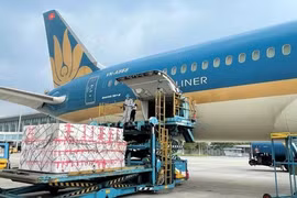 A worker uploads cargo on an aircraft of Vietnam Airlines. (Photo VNA) 