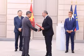 General Secretary of the Communist Party of Vietnam Central Committee and President To Lam and French President Emmanuel Macron witness the exchange of cooperation documents and agreements between the two countries. (Photo: VNA)