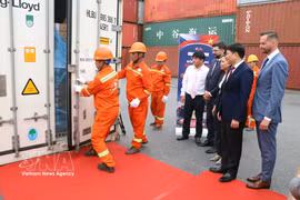 Representatives of relevant parties witness the arrival of the shipment. (Photo: VNA)