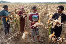 Illustrative Image (Photo: thejakartapost.com)