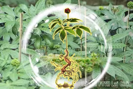 The saponin content of Lai Chau ginseng can reach as high as 23.85% in its natural state, a remarkably high level compared to many other ginseng species. (Photo: baolaichau.vn) 