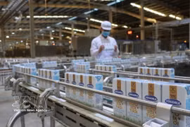 A dairy production line of Vinamilk. (Photo: VNA)