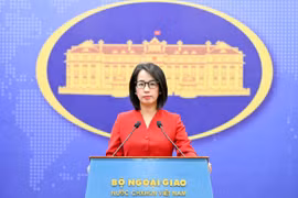 Spokeswoman of the Ministry of Foreign Affairs Pham Thu Hang (Photo: VNA)