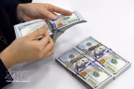 The daily reference exchange rate is set at 25,243 VND/USD on July 16. (Photo: VNA)