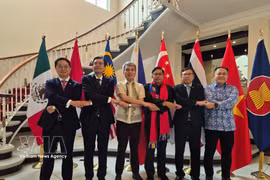 Heads of ASEAN diplomatic missions in Mexico pose for a group photo. (Photo: VNA published)