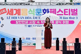 Minister Counsellor at the Vietnamese Embassy in the RoK Nguyen Thi Thai Binh (Photo: VNA)