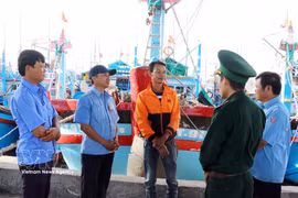 Khanh Hoa is stepping up efforts to help Vietnam secure the removal of the "yellow card" against IUU fishing. (Photo: VNA)