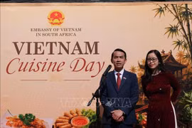 Vietnamese Ambassador to South Africa Hoang Sy Cuong delivers the opening remarks at the event. (Photo: VNA) 