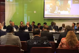 Deputy Minister Nguyen Hoang Hiep, attends the Global Platform for Disaster Risk Reduction (GP2025) in Geneva, Switzerland, June 4. (Photo: VNA)