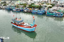 Fishing boas of Vietnam. Authorities are intensifying the fight against IUU fishing. (Photo: VNA)