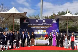 Football tournament strengthens solidarity among Vietnamese community in RoK (Photo: VNA)