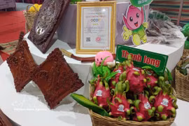 Red-fleshed dragon fruit and handicrafts rated three-star under the OCOP programme from Hung Thinh Phat Clean Agriculture Cooperative in Tan Thuan Binh commune, Dong Thap province. (Photo: VNA)