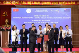 The signing of an MoU between the Department of Digital Technology and Artificial Intelligence and the Institute for Agricultural Research and Development at the forum. (Photo: VNA)