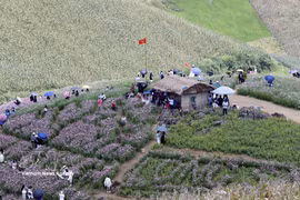 Border residents and visitors join cultural, sports and tourism activities in Long Sap commune, Son La province. (Photo: QuVNA) 