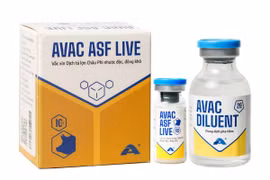 AVAC ASF LIVE vaccine developed and manufactured by AVAC Vietnam Joint Stock Company. (Photo: avac.com.vn) 