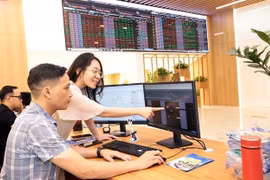 Investors watch stock movements on a computer screen at a Bao Viet Securities office. (Photo: VNA)
