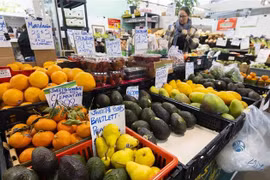 Export hub model opens new pathways for Vietnamese goods in Canada (Photo: VNA)
