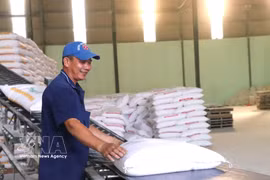 Rice bags are handled at Tan Dong Tien Joint Stock Company in Khanh Hau ward, Tay Ninh province. (Photo: VNA)