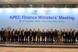 The Vietnamese delegation attends the conference. (Photo: VNA)