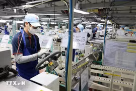 Production activities at the Hai Phong branch of Toyoda Gosei Co., Ltd., located in Tien Hai Industrial Park, Tien Hai District, Thai Binh Province. (Photo: VNA)